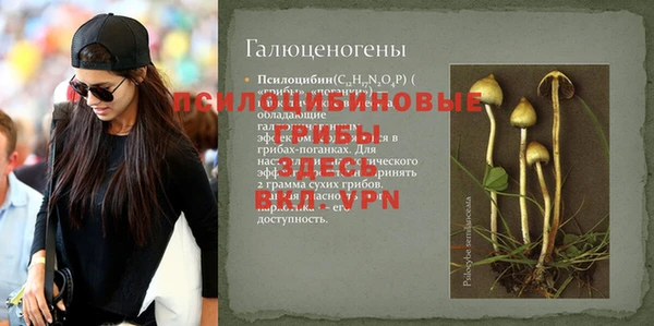 ГАЛЛЮЦИНОГЕННЫЕ ГРИБЫ Горняк