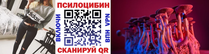 Псилоцибиновые грибы MAGIC MUSHROOMS Долгопрудный