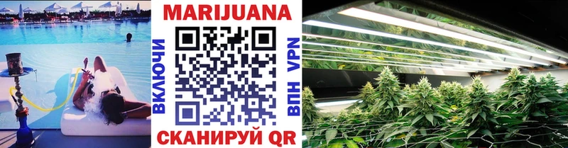 Бошки марихуана сатива  Купить где  Долгопрудный 